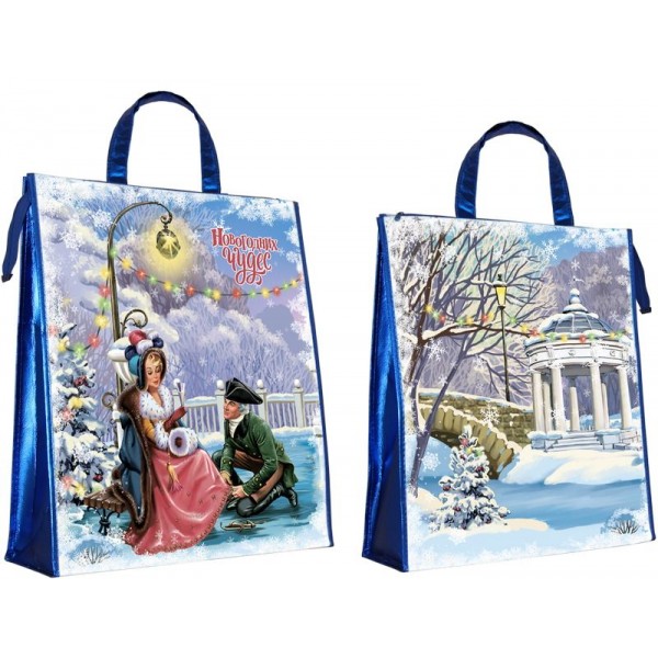 Сумка Зима Сумка Зима