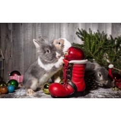 Состав подарка 100 гр.