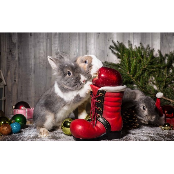 Состав подарка 100 гр. Состав подарка 100 гр.