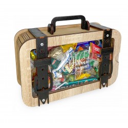 Д-9 Кейс с окном+сувенир