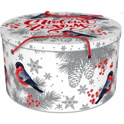 Ж-22 Снегири