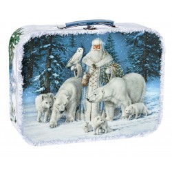 Ж-35 Полярная сказка