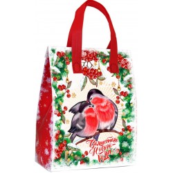 П-13 Сумочка Снегири (с клапаном)