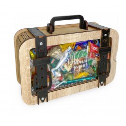 Кейс с окном+сувенир