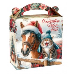 Звёздный дуэт