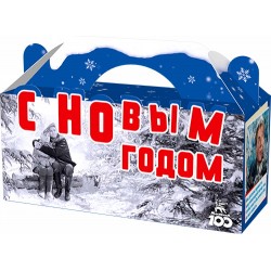 Новогодний сеанс